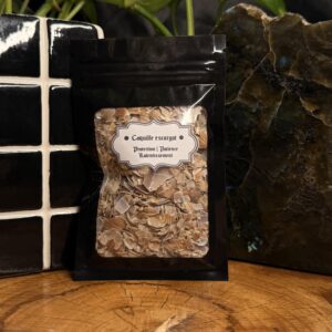 Coquille d’escargot